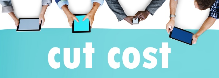 cut outsourced app development cost