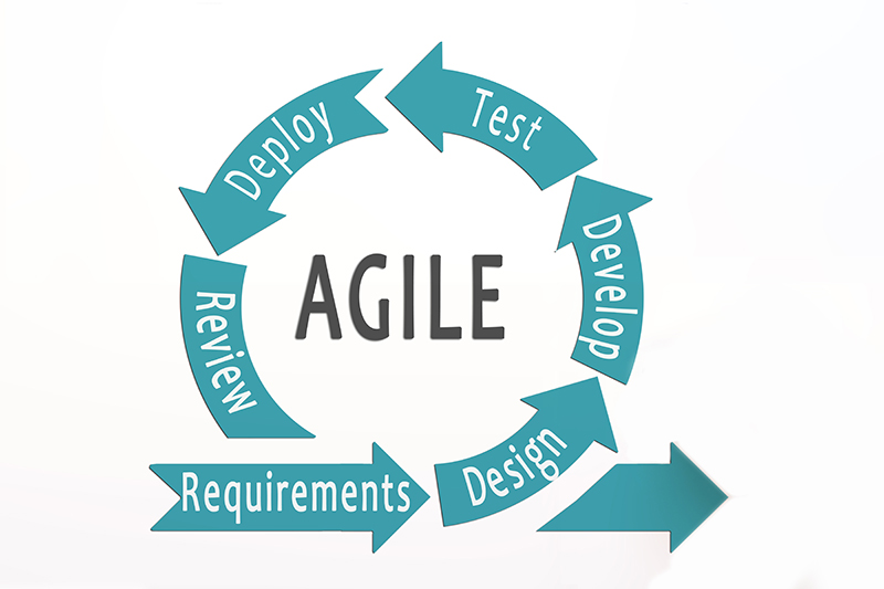 Agile Software Development