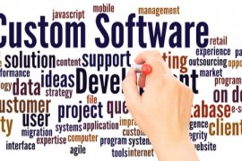 custom software development services