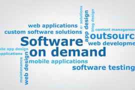 custom software development