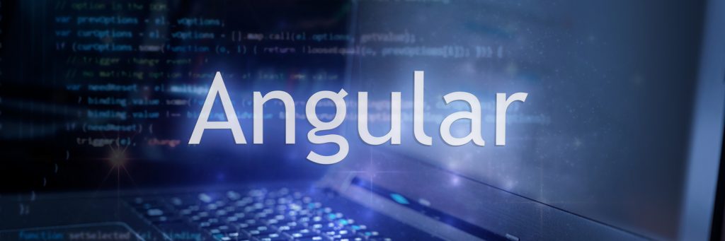 AngularJS web development services