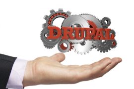Drupal web development services