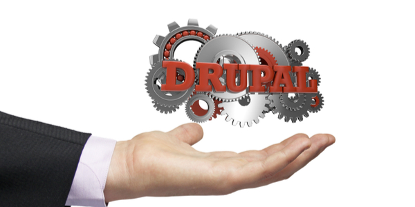 Drupal web development services