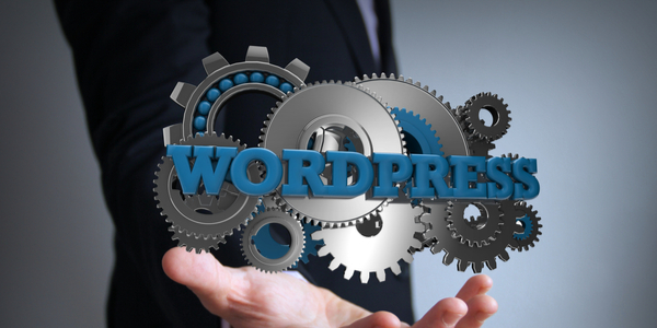 wordpress development services