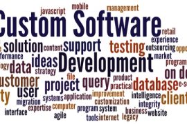 custom software development services