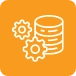 Database Management and Development