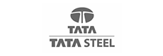 03_Tata_Steel logo