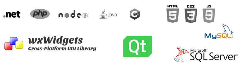 custom software development technologies